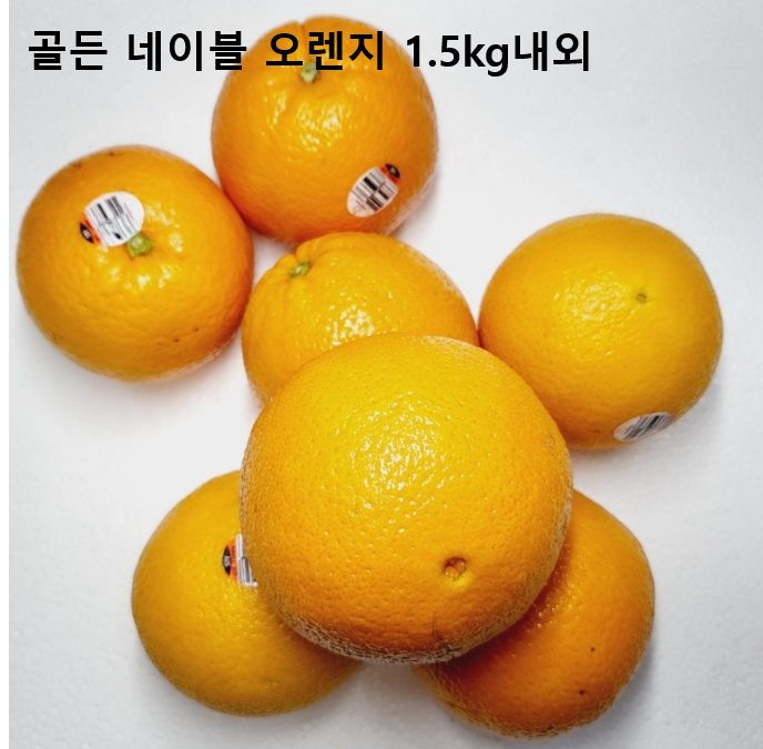 이미지1